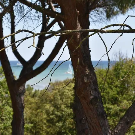 Szálloda Stella Del Mare 3*