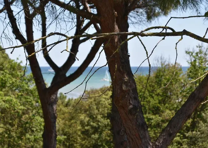 Szálloda Stella Del Mare 3*